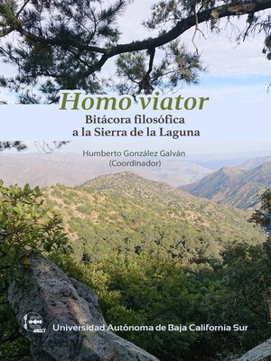 cover image of Homo viator